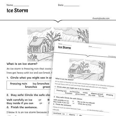 Ice Storm - worksheet educational content