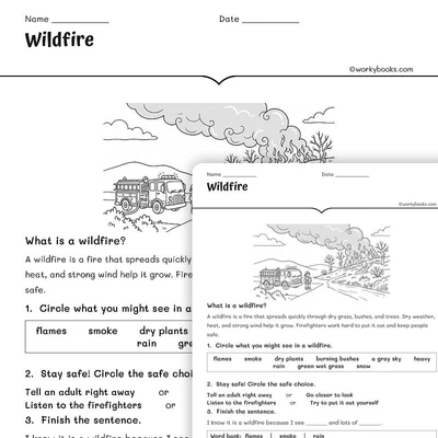 Wildfire - worksheet educational content