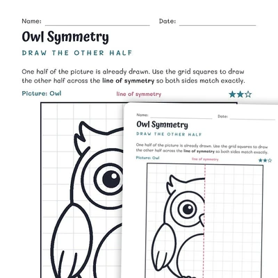 Owl Symmetry Worksheet – Draw the Other Half - worksheet educational content