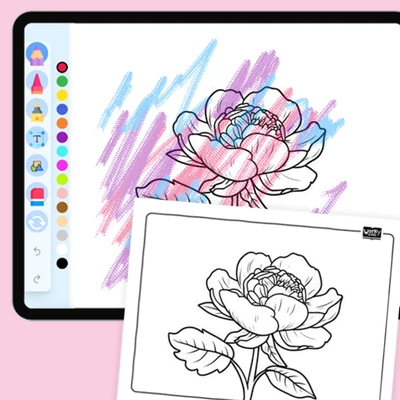 Peony, prosperity - coloring educational content