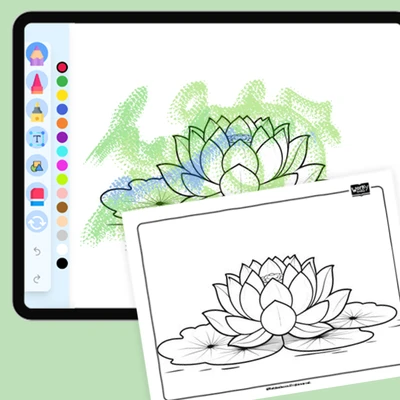 Lotus, enlightenment - coloring educational content