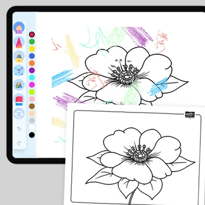 Magnolia, dignity - coloring educational content