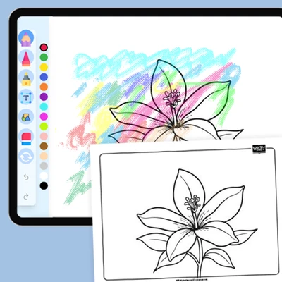 Lily, elegance - coloring educational content