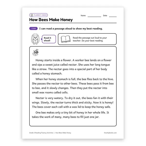 How Bees Make Honey worksheet for grade 3