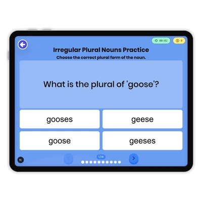 Irregular Plural Nouns - game educational content