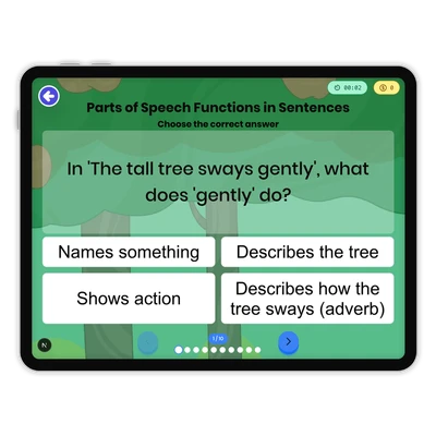 Parts of Speech Functions in Sentences - game educational content