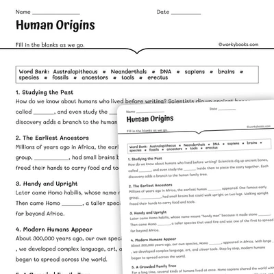 Human Origins - worksheet educational content