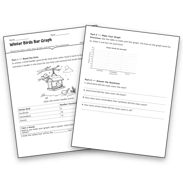 Winter Birds Bar Graph - worksheet educational content