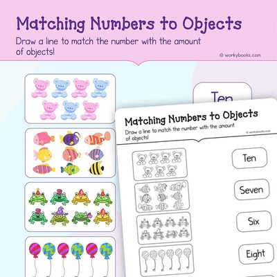 Numbers and Object Matching - worksheet educational content