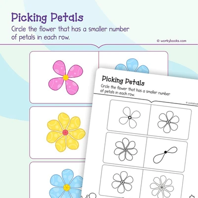 Counting Pedals - worksheet educational content