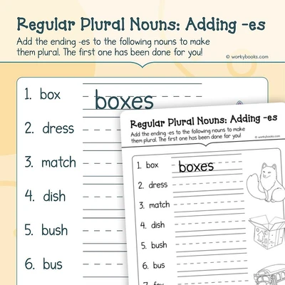 Regular Plural Nouns with —es Ending - worksheet educational content