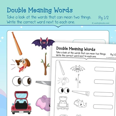 Multiple Meaning Words - worksheet educational content