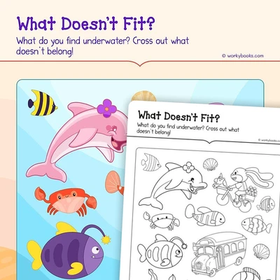 What Doesn't Fit? - worksheet educational content