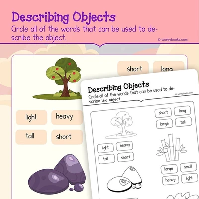 Describing Objects 3 - worksheet educational content