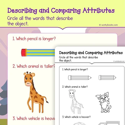 Describe and Compare Attributes - worksheet educational content