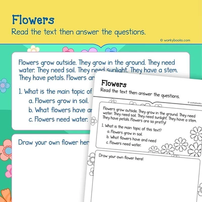 Flowers—Informational Text - worksheet educational content