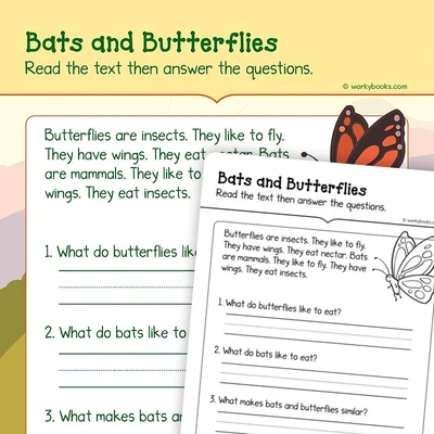 Bats and Butterflies—Informational Text - worksheet educational content