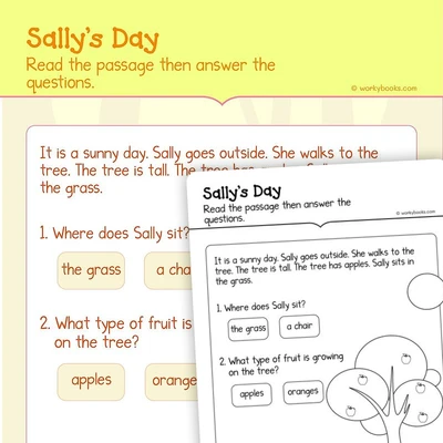 Sally’s Day—Informational Text - worksheet educational content