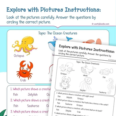 Explore with Pictures - worksheet educational content