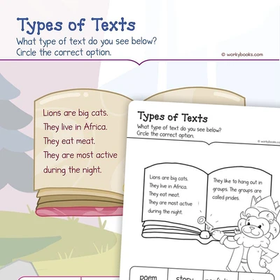Recognizing Text Types—Lions - worksheet educational content