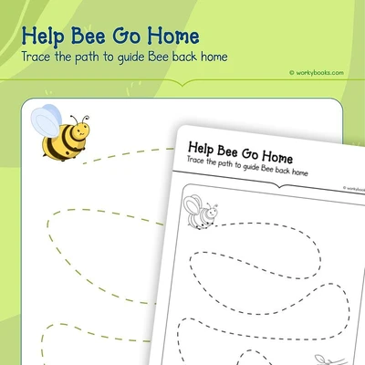 Tracing—Help Bee Go Home Pattern - worksheet educational content