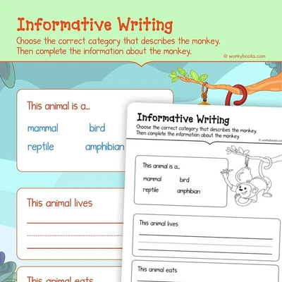 Informative Writing on Monkey - worksheet educational content