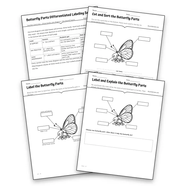 Butterfly Parts Differentiated Labeling Set - worksheet educational content
