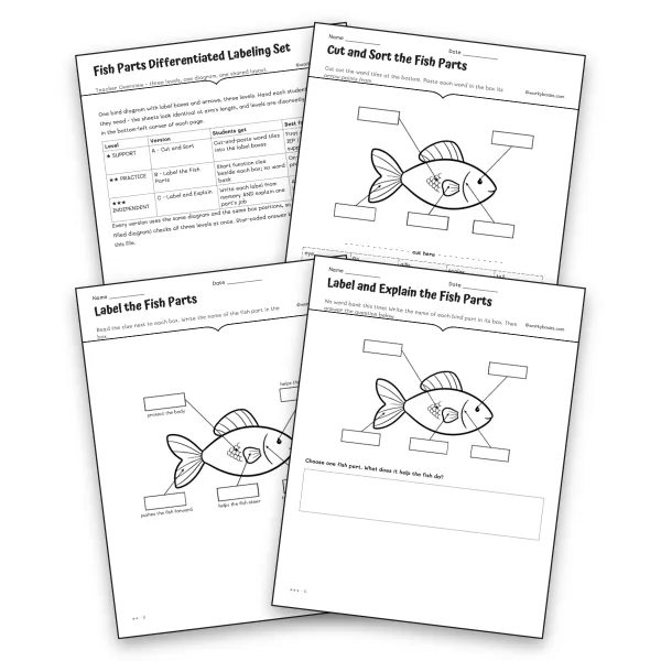 Fish Parts Differentiated Labeling Set - worksheet educational content