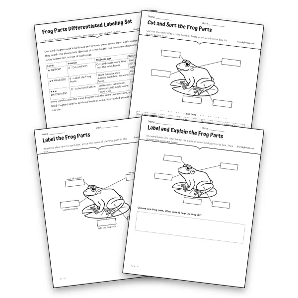Frog Parts Differentiated Labeling Set - worksheet educational content