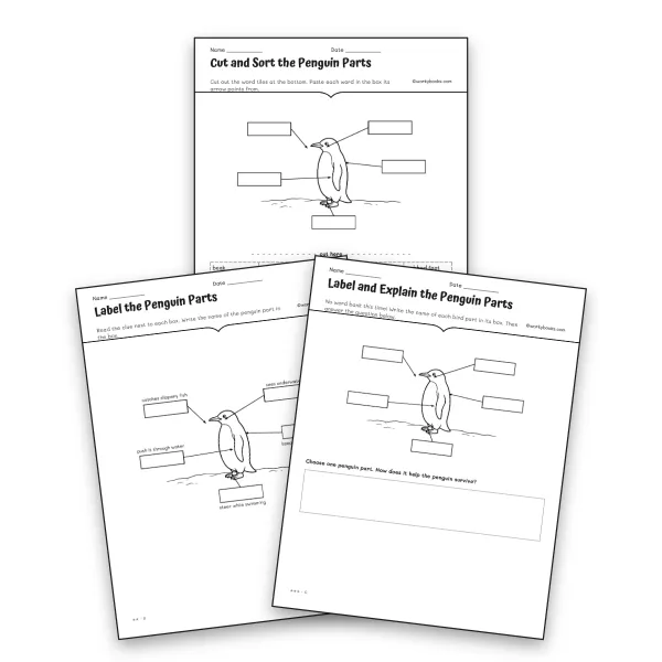 Penguin Parts Differentiated Labeling Set - worksheet educational content