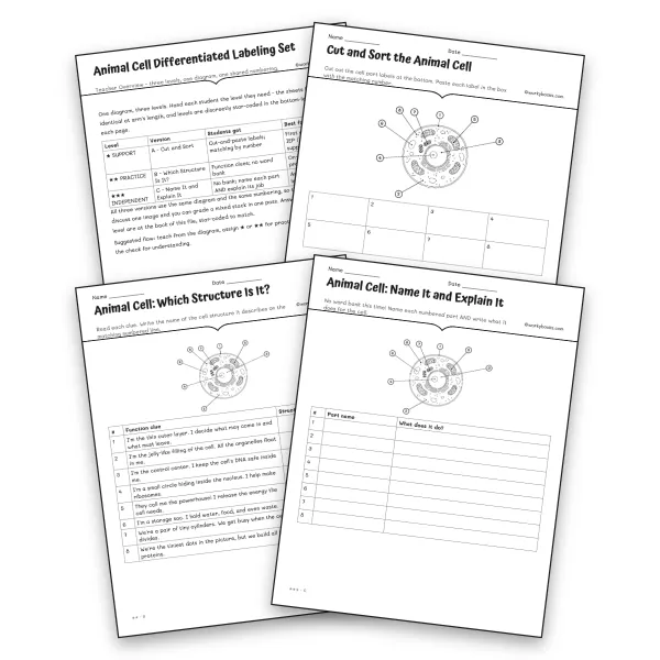 Animal Cell Differentiated Labeling Set - worksheet educational content