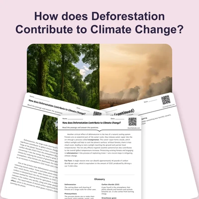 How does Deforestation Contribute to Climate Change? - reading educational content