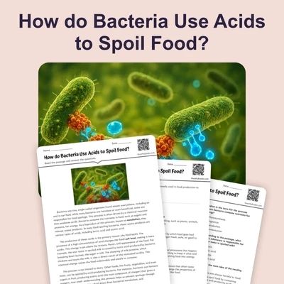 How do Bacteria Use Acids to Spoil Food? - reading educational content