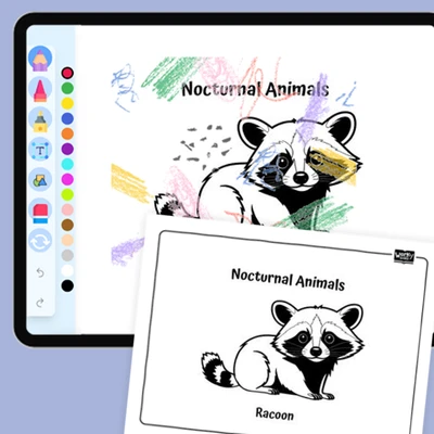 Fun Raccoon - coloring educational content