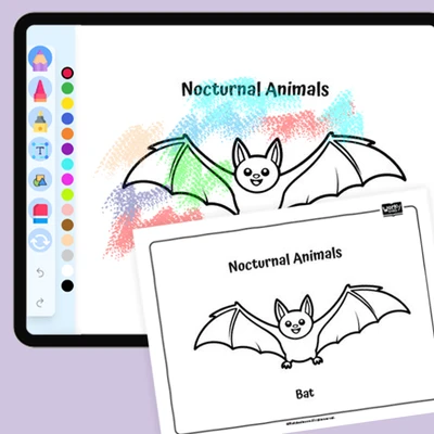 Elusive Bat - coloring educational content