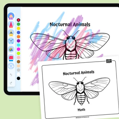 Graceful Moth - coloring educational content