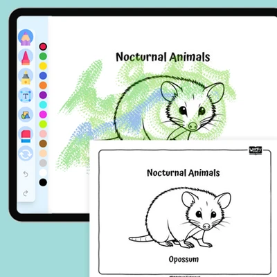 Quiet Opossum - coloring educational content