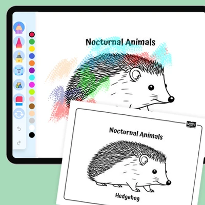Prickly Hedgehog - coloring educational content