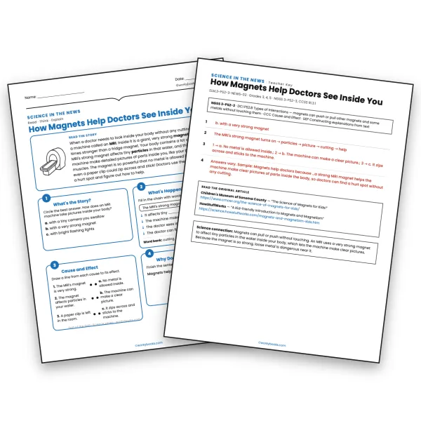 How Magnets Help Doctors See Inside You - worksheet educational content
