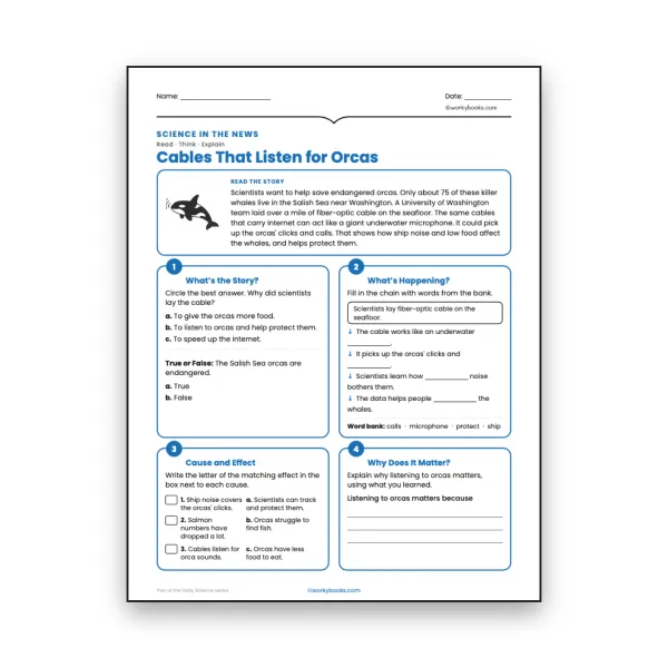 Fibre Cables That Listen for Orcas - worksheet educational content