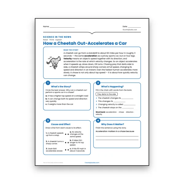 How a Cheetah Out-Accelerates a Car - worksheet educational content