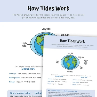 How Tides Work Poster - worksheet educational content