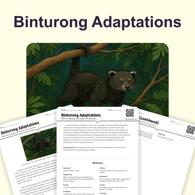 Binturong Adaptations - reading educational content