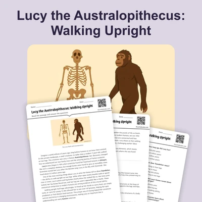 Lucy the Australopithecus - reading educational content