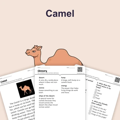 Camel - reading educational content