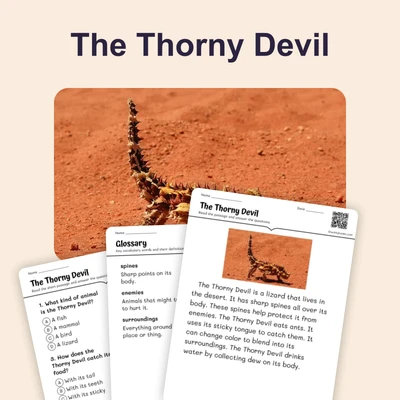 The Thorny Devil - reading educational content