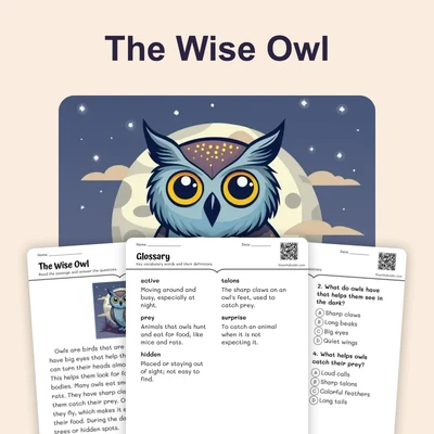 The Wise Owl - reading educational content