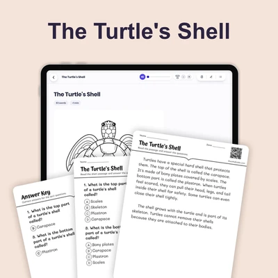 The Turtle's Shell - reading educational content