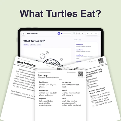 What Turtles Eat? - reading educational content