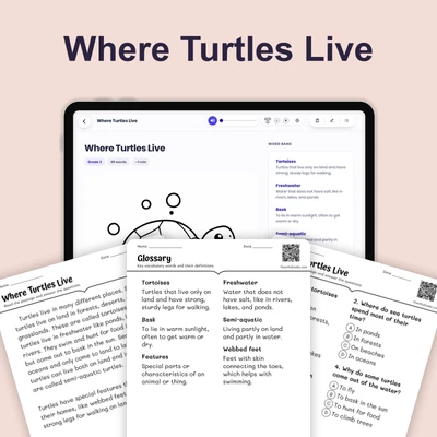 Where Turtles Live - reading educational content